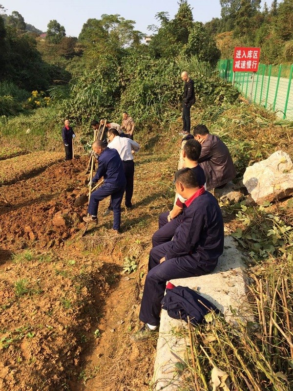 自耕自種，豐富職工業(yè)余生活