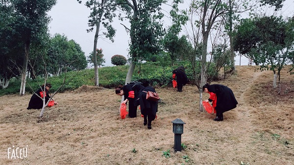 我們的節(jié)日：三八婦女節(jié)，賢母園開展活動(dòng)